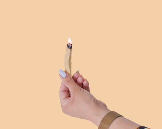 Organic Palo Santo